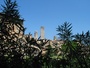 Bild:  San Gimignano